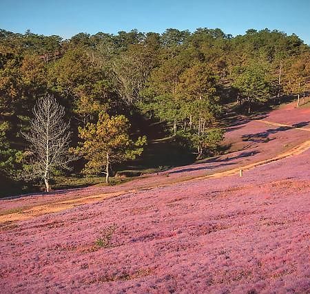 An Binh Homestay ダラット エクステリア 写真