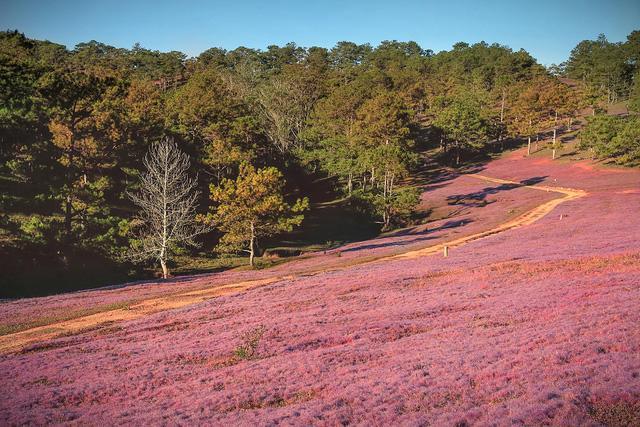 An Binh Homestay ダラット エクステリア 写真